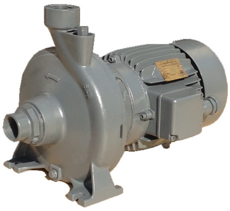 Calpeda 1.5KW Pump Motor Repair